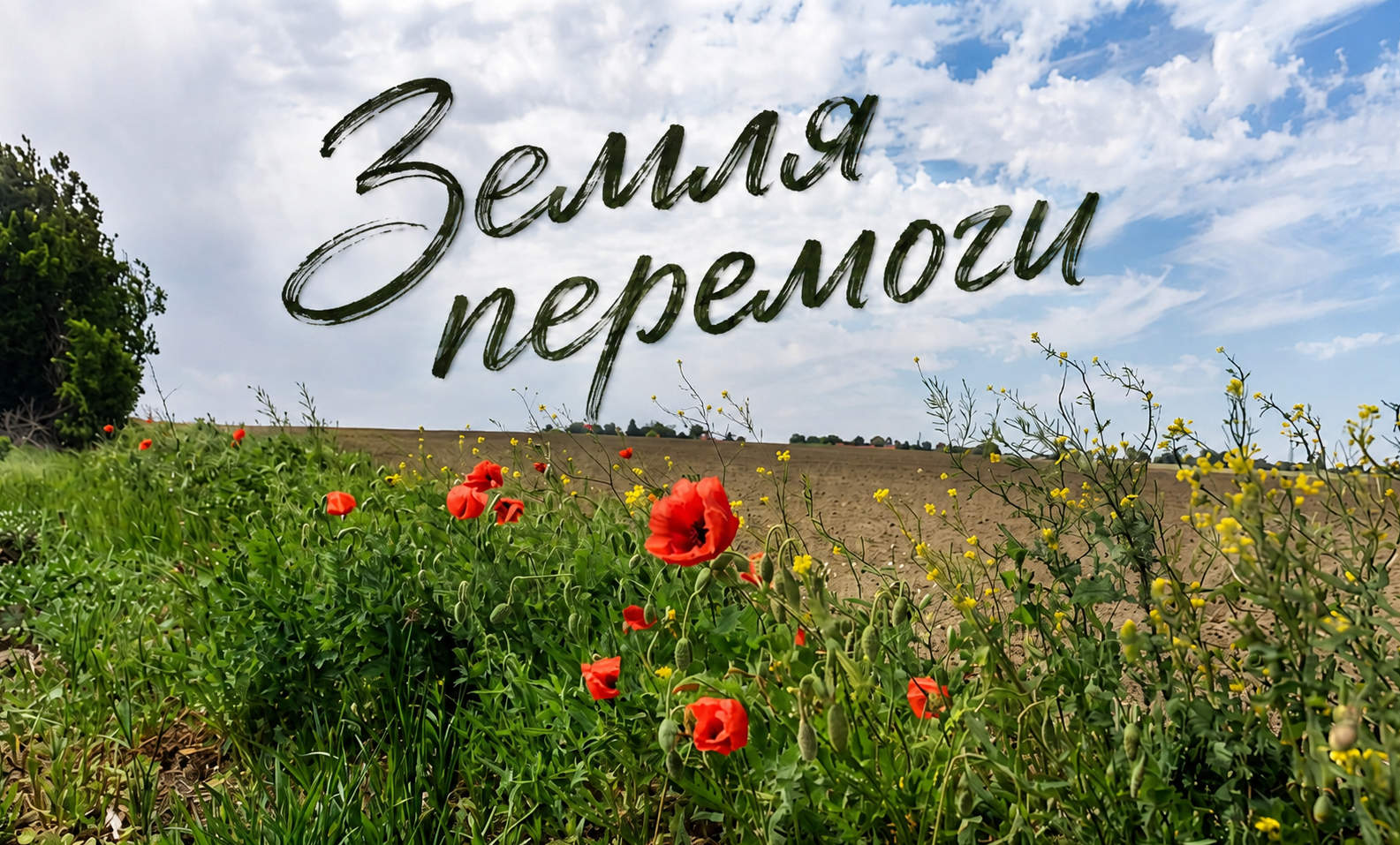 Проєкт «Земля перемоги» — відновлення ґрунтів через журналістику і науку. Фото: Агробізнес Сьогодні Проєкт «Земля перемоги» — відновлення ґрунтів через журналістику і науку. Фото: Агробізнес Сьогодні